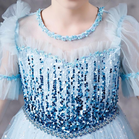 Luxury Frozen Elsa Sparkly Costume dress with cape 5019 - Picture 4 of 5